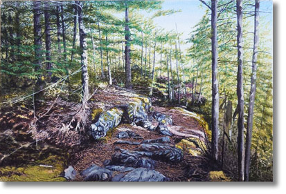 Halfway Trail